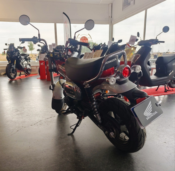 Honda Dax ST125 - ROYAN