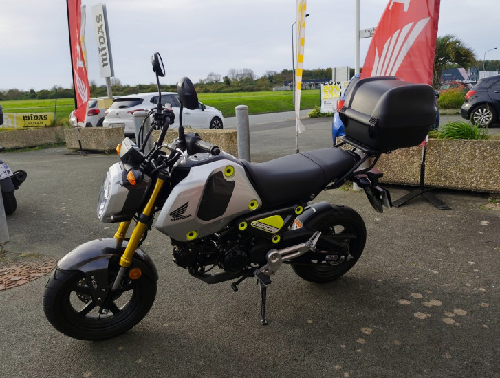 Honda MSX 125 GROM - ROYAN