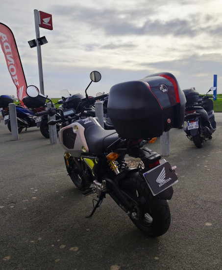 Honda MSX 125 GROM - ROYAN