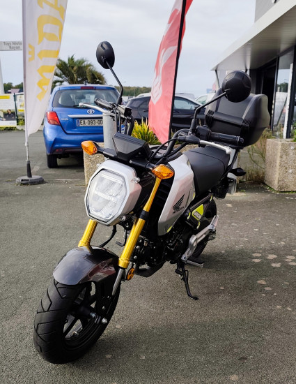 Honda MSX 125 GROM - ROYAN