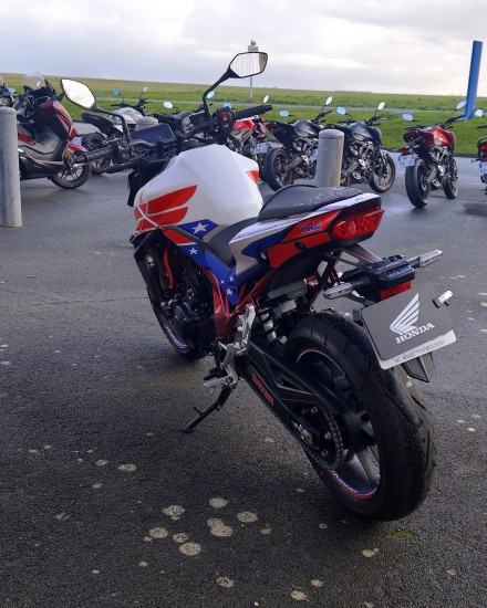 Honda CB750 Hornet - ROYAN